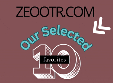 Top 10 Electric Kick Scooters